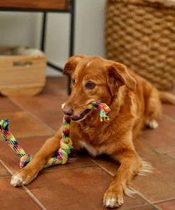 Frisco 4-Knot Tri-Color Rope Dog Toy -Frisco Sales 2024 242139 PT2. SY630 V1605208764