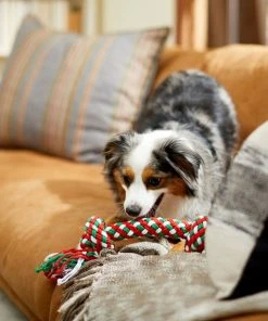 Frisco Double Knot Tri-Color Rope Dog Toy -Frisco Sales 2024 242149 PT2. SY630 V1605208647