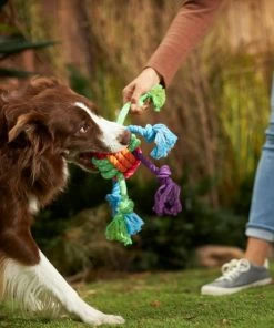 Frisco Colorful Ball Knot Rope Dog Toy -Frisco Sales 2024 242160 PT2. SY630 V1605208734
