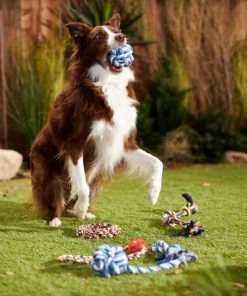 Frisco Rope Multipack for Medium Dog Toys, 5 count -Frisco Sales 2024 243978 PT2. SY630 V1635439307