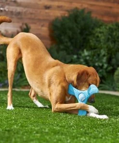 Frisco Plastic Tri-Flyer Dog Toy -Frisco Sales 2024 245910 PT2. SY630 V1607371960