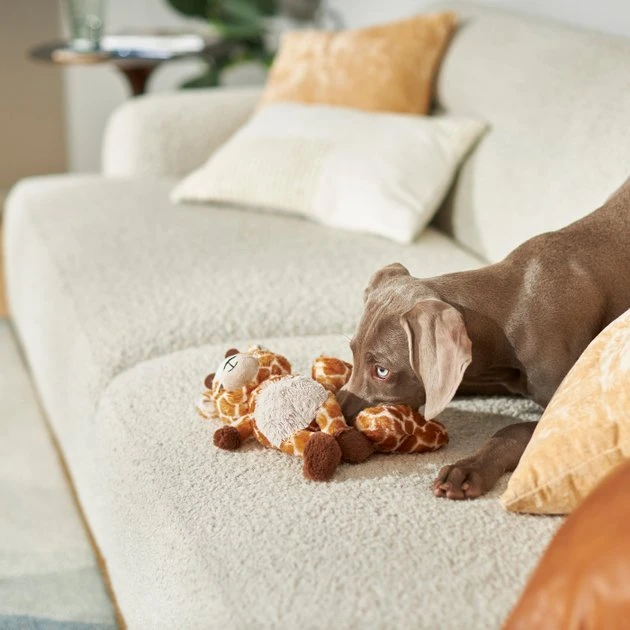 Frisco Giraffe Plush Multipack Puppy Toy, 2 count 5 Frisco Giraffe Plush Multipack Puppy Toy, 2 count - Image 3