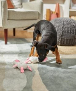 Frisco Bunny Plush Multipack Puppy Toy, 2 count -Frisco Sales 2024 245916 PT2. SY630 V1607371940