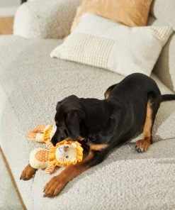 Frisco Lion Plush Multipack Puppy Toy, 2 count -Frisco Sales 2024 245918 PT2. SY630 V1607372049