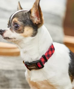 Frisco Buffalo Check Dog Collar -Frisco Sales 2024 246989 PT3. SY630 V1606864045