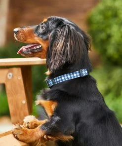Frisco Blue Argyle Dog Collar -Frisco Sales 2024 247017 PT3. SY630 V1606862553