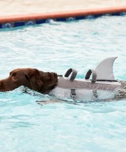 Frisco Shark Dog Life Jacket -Frisco Sales 2024 247884 PT8. SY630 V1616505926