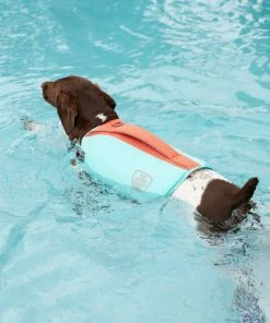 Frisco Active Dog Life Jacket -Frisco Sales 2024 247890 PT8. SY630 V1616505897