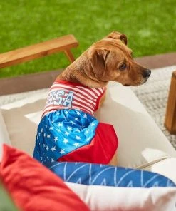 Frisco USA Dog & Cat Dress -Frisco Sales 2024 248659 PT4. SY630 V1632418898