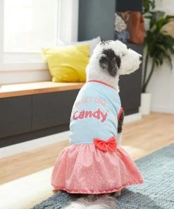 Frisco Sweet Like Candy Dog & Cat Dress -Frisco Sales 2024 248666 PT4. SY630 V1632426072