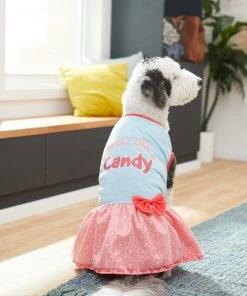 Frisco Sweet Like Candy Dog & Cat Dress -Frisco Sales 2024 248666 PT7. SY630 V1614376378