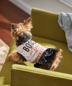 Frisco Boss Babe Dog & Cat Dress -Frisco Sales 2024 248673 PT7. SY630 V1613586417