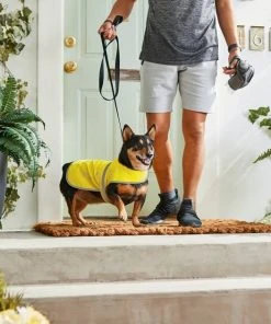 Frisco Reflective Dog Safety Vest -Frisco Sales 2024 248680 PT7. SY630 V1614029598