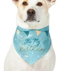 Frisco It's My Birthday Dog & Cat Bandana, Blue 10 Frisco It's My Birthday Dog & Cat Bandana, Blue -Frisco Sales 2024 248696 PT2. SY630 V1633069886
