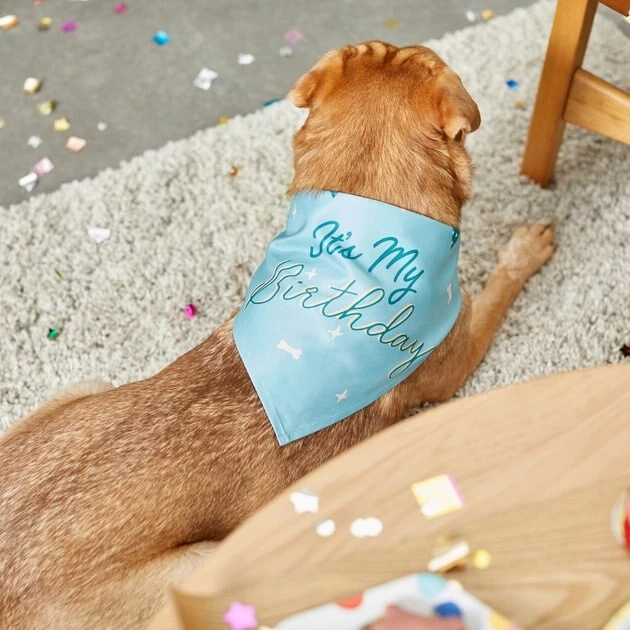 Frisco It's My Birthday Dog & Cat Bandana, Blue 8 Frisco It's My Birthday Dog & Cat Bandana, Blue - Image 6