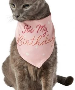 Frisco It's My Birthday Dog & Cat Bandana, Pink -Frisco Sales 2024 248702 PT2. SY630 V1614611844