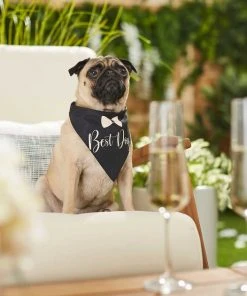 Frisco Wedding Reversible Dog & Cat Bandana -Frisco Sales 2024 248712 PT5. SY630 V1632432987