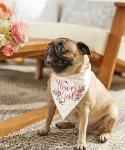Frisco Wedding Reversible Dog & Cat Bandana -Frisco Sales 2024 248712 PT6. SY630 V1632430655