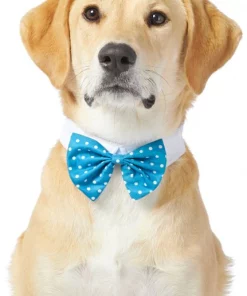 Frisco Polka Dot Dog & Cat Bow Tie, Teal