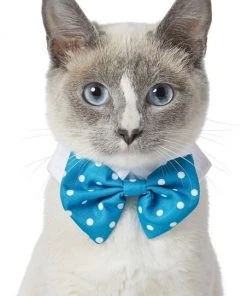 Frisco Polka Dot Dog & Cat Bow Tie, Teal -Frisco Sales 2024 248715 PT2. SY630 V1613767316