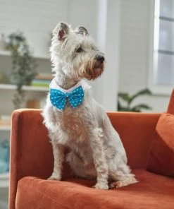 Frisco Polka Dot Dog & Cat Bow Tie, Teal -Frisco Sales 2024 248715 PT7. SY630 V1614031654