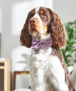 Frisco Plaid Dog & Cat Bow Tie, Red & Blue -Frisco Sales 2024 248722 PT7. SY630 V1613765864