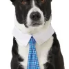 Frisco Plaid Dog & Cat Neck Tie, Blue Plaid -Frisco Sales 2024 248738 MAIN. SY630 V1614365493