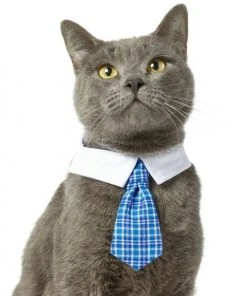 Frisco Plaid Dog & Cat Neck Tie, Blue Plaid -Frisco Sales 2024 248738 PT2. SY630 V1614365483