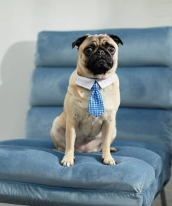 Frisco Plaid Dog & Cat Neck Tie, Blue Plaid -Frisco Sales 2024 248738 PT7. SY630 V1614366111