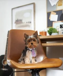 Frisco Plaid Dog & Cat Neck Tie, Red & Blue -Frisco Sales 2024 248739 PT7. SY630 V1614366128