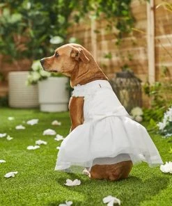 Frisco Formal Dog Wedding Dress 15 Frisco Formal Dog Wedding Dress -Frisco Sales 2024 248743 PT7. SY630 V1614118361