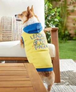 Frisco Leader of the Pack Dog & Cat Hoodie -Frisco Sales 2024 248905 PT7. SY630 V1613752118