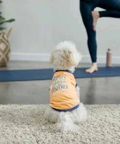 Frisco Mama's Yoga Pawtner Dog & Cat T-Shirt 13 Frisco Mama's Yoga Pawtner Dog & Cat T-Shirt -Frisco Sales 2024 248966 PT7. SY630 V1614201756
