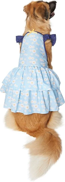 Frisco Blue Daisies Dog & Cat Dress 3 Frisco Blue Daisies Dog & Cat Dress