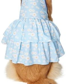 Frisco Blue Daisies Dog & Cat Dress 10 Frisco Blue Daisies Dog & Cat Dress -Frisco Sales 2024 249044 PT2. SY630 V1637691458