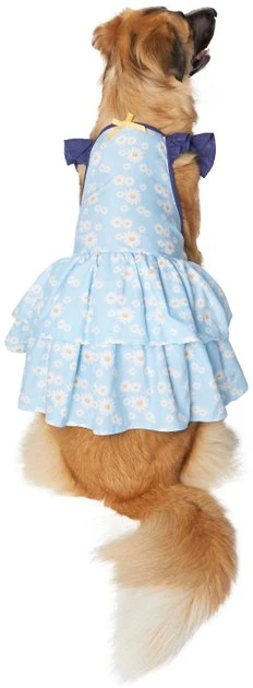 Frisco Blue Daisies Dog & Cat Dress 5 Frisco Blue Daisies Dog & Cat Dress - Image 3