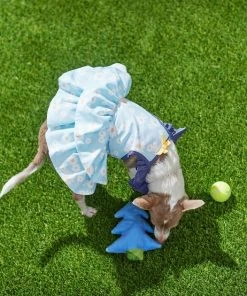 Frisco Blue Daisies Dog & Cat Dress 13 Frisco Blue Daisies Dog & Cat Dress -Frisco Sales 2024 249044 PT7. SY630 V1644464818