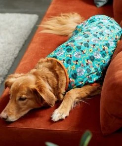 Frisco Jungle Paradise Dog & Cat Jersey PJs -Frisco Sales 2024 249111 PT4. SY630 V1637689338