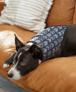 Frisco Boho Reversible Dog & Cat Bandana -Frisco Sales 2024 249137 PT5. SY630 V1637659054