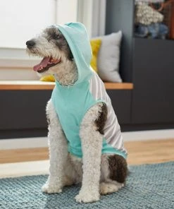 Frisco Striped Colorblock Dog & Cat Hoodie, Teal -Frisco Sales 2024 249146 PT7. SY630 V1614105034
