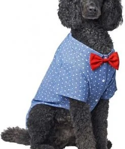Frisco Polka Dot Chambray Dog & Cat Button Up Shirt -Frisco Sales 2024 249161 PT2. SY630 V1624607862