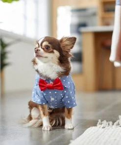 Frisco Polka Dot Chambray Dog & Cat Button Up Shirt -Frisco Sales 2024 249161 PT7. SY630 V1614104808