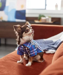 Frisco Plaid Dog & Cat Button Up Shirt, Navy Plaid -Frisco Sales 2024 249176 PT7. SY630 V1614104494