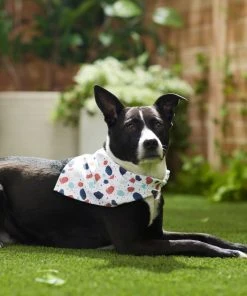 Frisco Colorful Terrazzo Dog & Cat Bandana -Frisco Sales 2024 249200 PT4. SY630 V1637644381