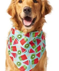 Frisco Fruity Summer Dog & Cat Bandana -Frisco Sales 2024 249204 PT2. SY630 V1637644629