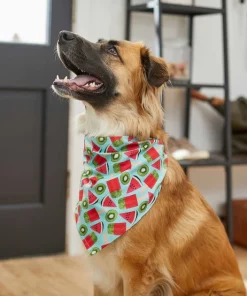 Frisco Fruity Summer Dog & Cat Bandana -Frisco Sales 2024 249204 PT4. SY630 V1637668676