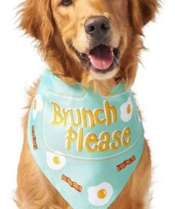 Frisco Brunch Please Dog & Cat Bandana -Frisco Sales 2024 249207 PT2. SY630 V1637720586