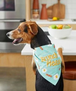 Frisco Brunch Please Dog & Cat Bandana -Frisco Sales 2024 249207 PT4. SY630 V1637671044