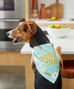 Frisco Brunch Please Dog & Cat Bandana -Frisco Sales 2024 249207 PT5. SY630 V1614612830