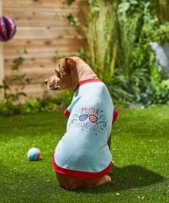 Frisco Mister Independent Dog & Cat T-Shirt -Frisco Sales 2024 249237 PT4. SY630 V1624612960